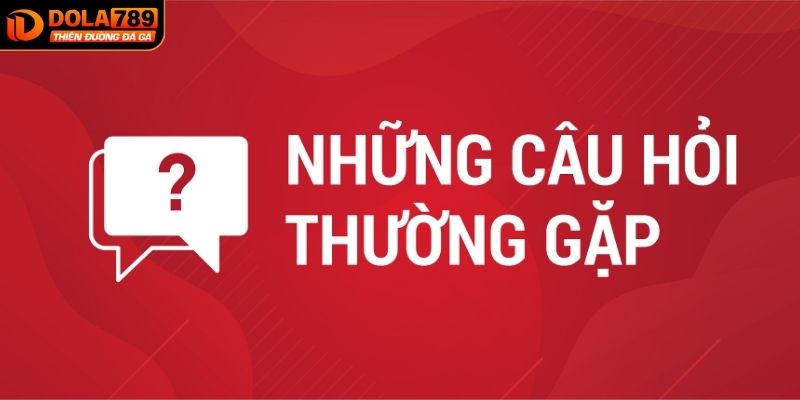 Câu hỏi thường gặp trong quá trình nạp tiền