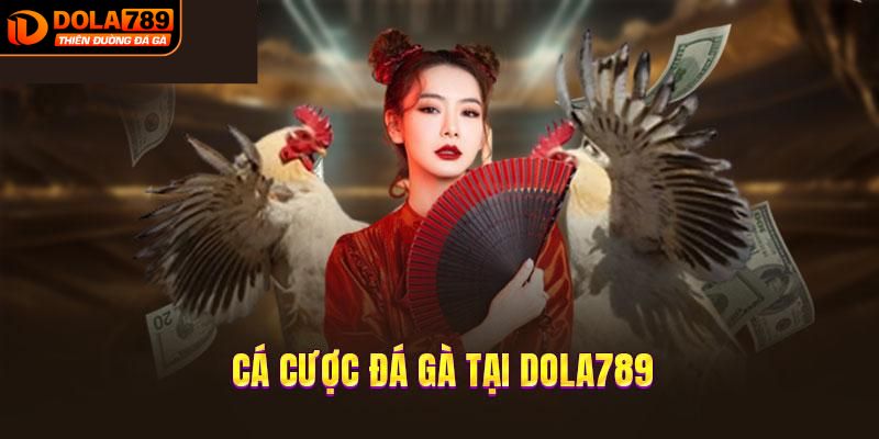 Hướng dẫn cách thức tham gia cá cược đá gà Dola789