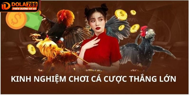 Nắm rõ các chiến thuật khi chơi đá gà Dola789 thắng lớn