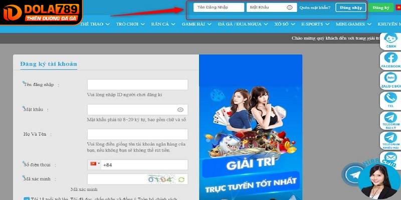 Những điểm cần lưu ý khi đăng nhập DOLA789