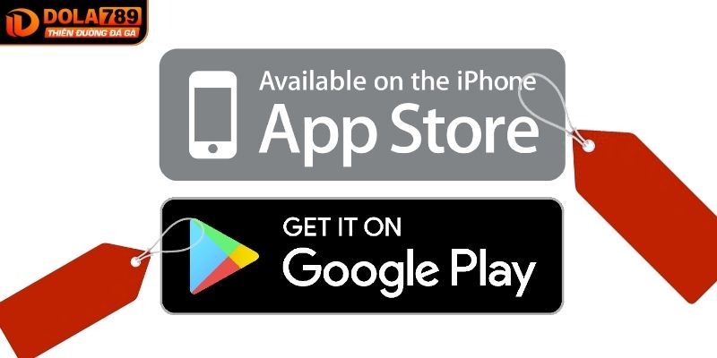 Sử dụng điện thoại Android để tải app
