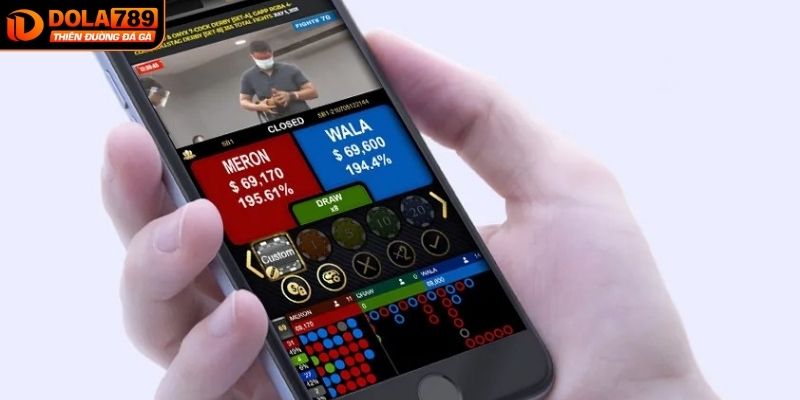 Tải app DOLA789 đem đến nhiều lợi ích cho người chơi 