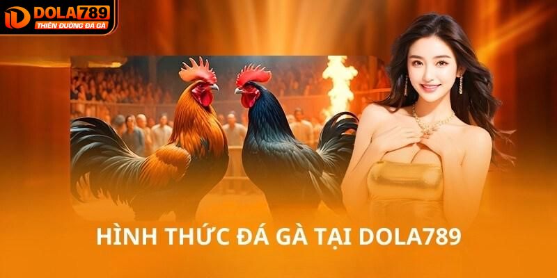 Tổng hợp các hình thức đá gà Dola789 phổ biến nhất