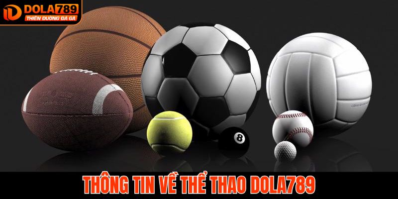Tổng quan chi tiết về sảnh thể thao tại Dola789